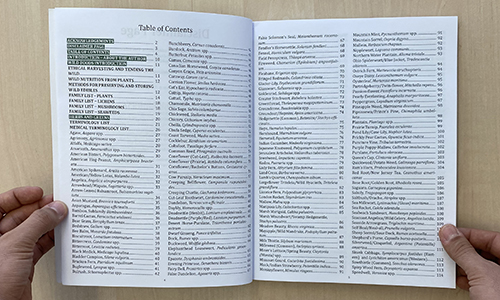 The Forager’s Guide To Wild Foods Book Review