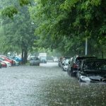 How to survive the aftermath of urban disasters
